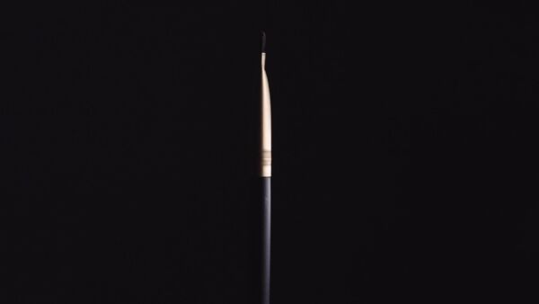 Precision Brushes Set